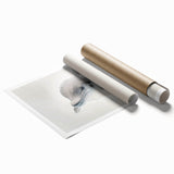 Adorable Dolphin Wall Art - Perfect for Kids Room Decor