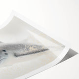 Adorable Dolphin Wall Art - Perfect for Kids Room Decor