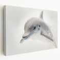 Adorable Dolphin Wall Art - Perfect for Kids Room Decor