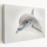 Adorable Dolphin Wall Art - Perfect for Kids Room Decor