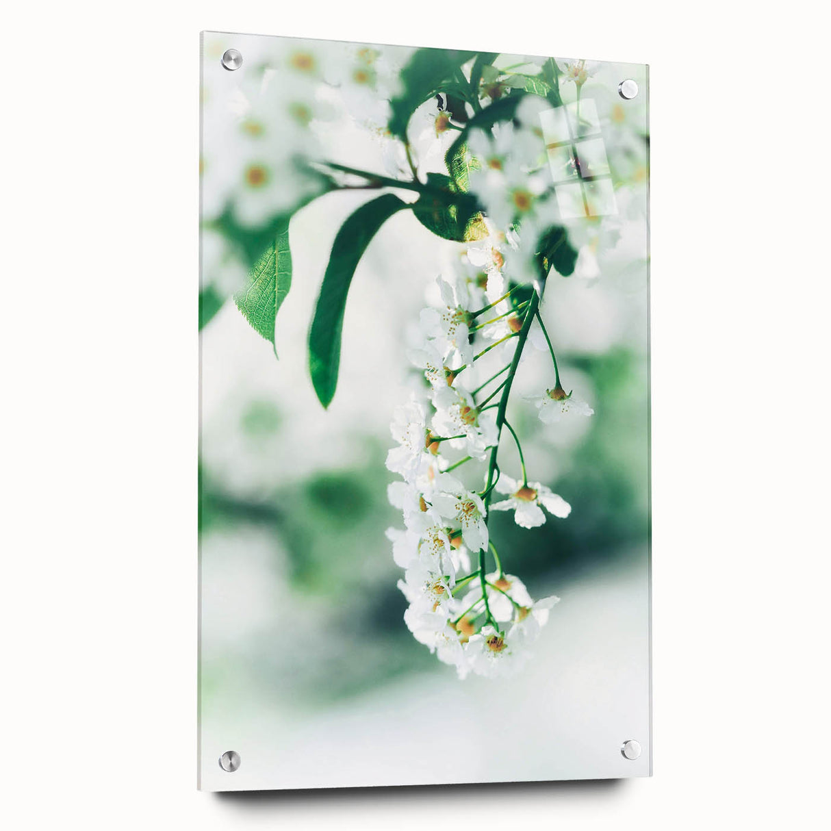 Large abstract wall art on acrylic glass depicting vibrant spring colors, ideal for bedroom or dining room decor.
