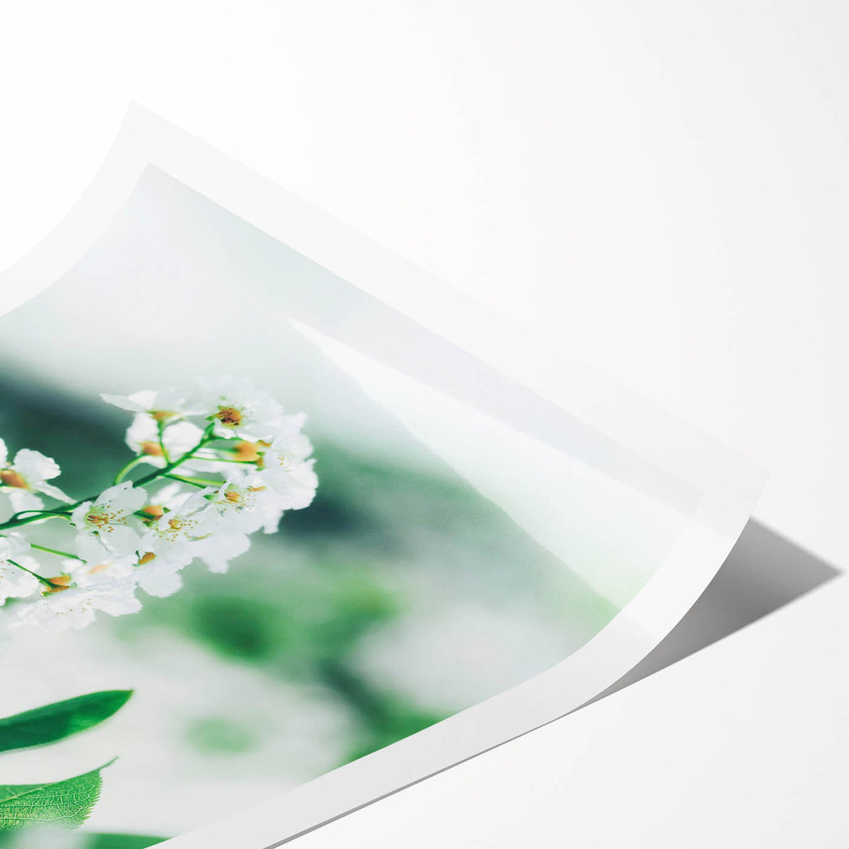 Extra large wall art featuring line art flowers in soft pastel shades on a rolled canvas, ideal for large living room decor.