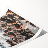 Extra large wall art featuring line art flowers in black on white, rolled print, ideal for large living room decor.