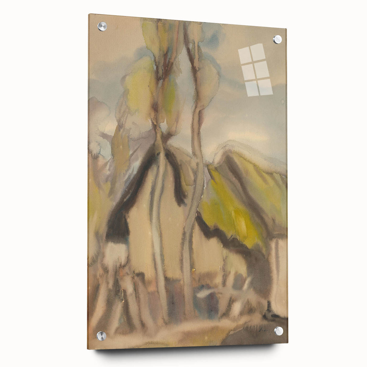 Modern Abstract Art – Fluid Shapes on Framed Acrylic Glass