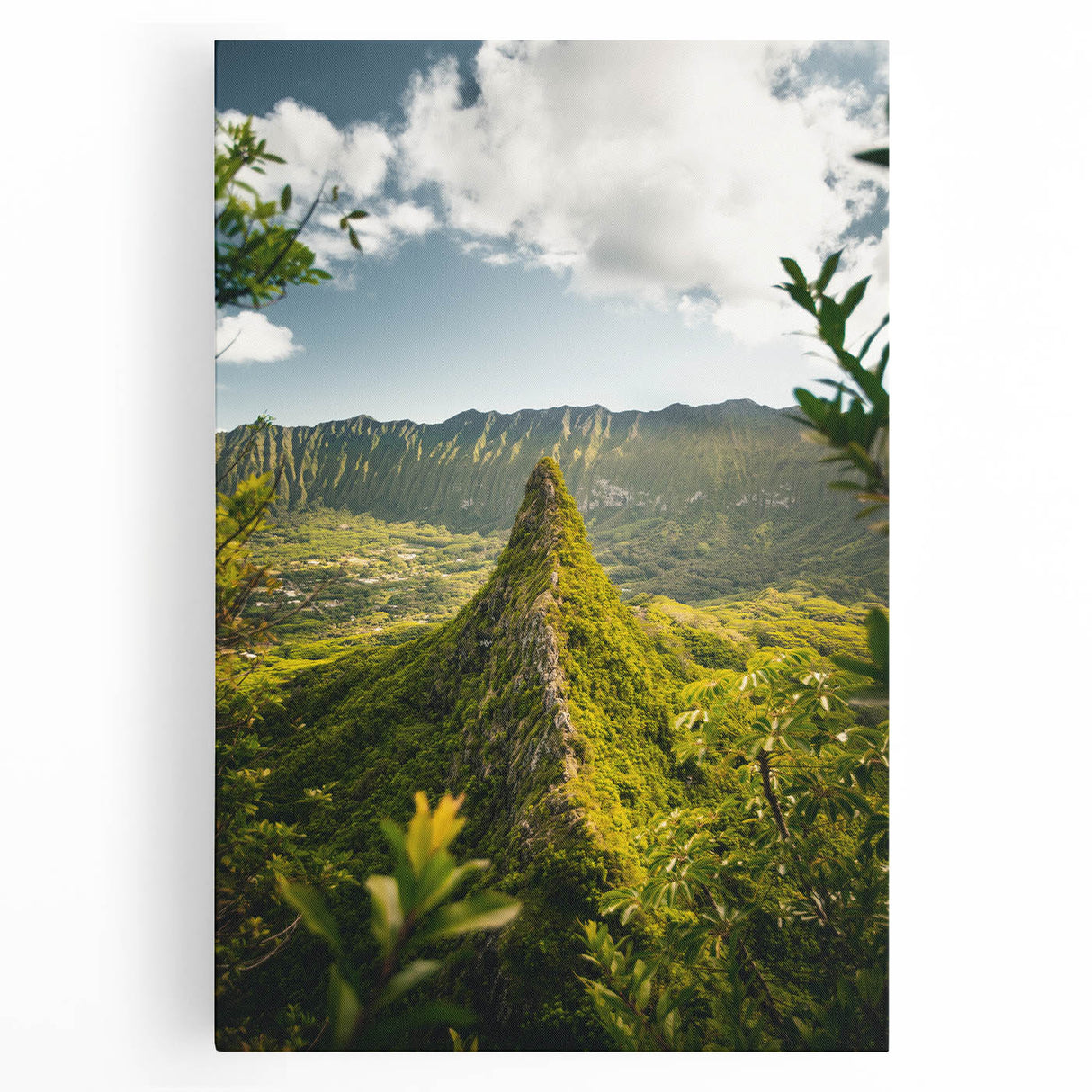 Black and white large art on stretched canvas depicting spring season, ideal for kitchen wall art.