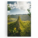 Black and white large art on stretched canvas depicting spring season, ideal for kitchen wall art.