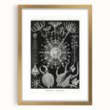 Abstract Modern Art – Bold Red and Black Design on Acrylic Glass