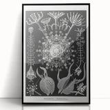 Abstract Modern Art – Bold Red and Black Design on Acrylic Glass