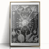 Abstract Modern Art – Bold Red and Black Design on Acrylic Glass