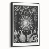 Abstract Modern Art – Bold Red and Black Design on Acrylic Glass