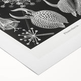 Abstract Modern Art – Bold Red and Black Design on Acrylic Glass