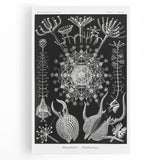 Abstract Modern Art – Bold Red and Black Design on Acrylic Glass