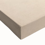 Expressionist Art: Fox by Arnold Peter Weisz-Kubínčan Canvas Print