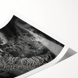 Extra large wall art featuring line art flowers in black on a white background, ideal for large living room wall decor.