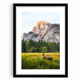 Abstract art print featuring textured, colorful swirls in spring hues on a large black framed canvas.