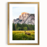 Extra large abstract art print featuring textured swirls in spring hues on a gold-framed canvas.