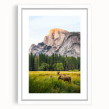 Abstract art print featuring dynamic swirls in pastel pink and green on a white framed canvas.