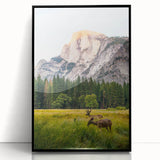 Large abstract wall art featuring spring-themed colors in pastel shades on a black framed acrylic print.