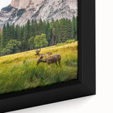 Extra large framed canvas featuring a textured, colorful abstract design with black accents, ideal for living room decor.