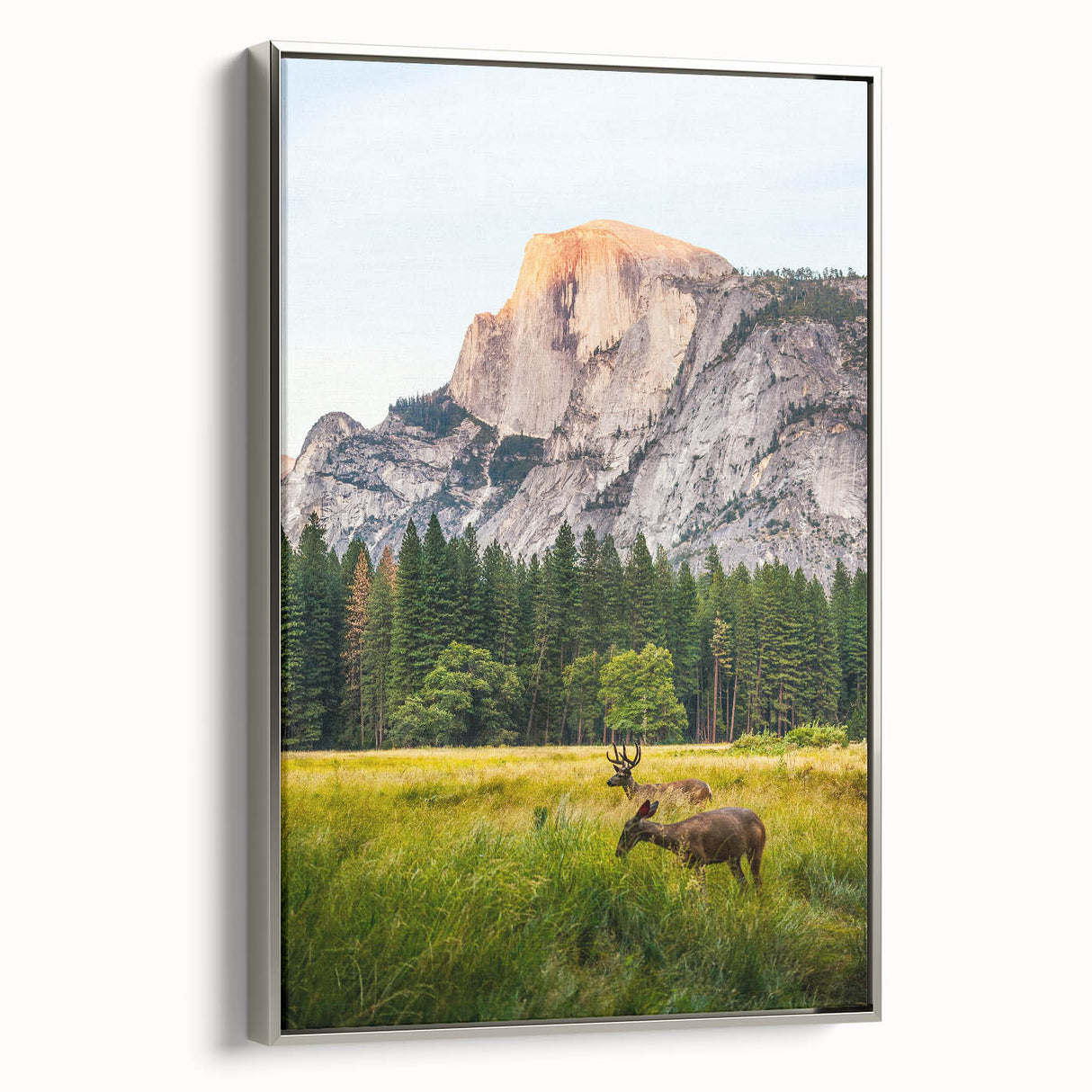 Framed canvas landscape art paintings featuring a spring scene with colorful blossoms and silver frame.
