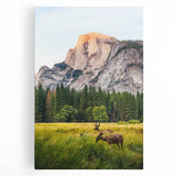 Black and white abstract design on large stretched canvas, featuring swirling patterns, ideal for kitchen wall art.