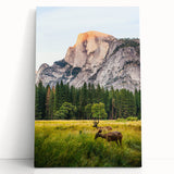 Large black and white stretched canvas featuring a minimalist tree design, ideal for kitchen wall art or bedroom ambiance.