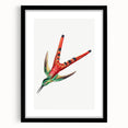 Modern Wall Art - Colorful Hummingbird | Contemporary Nature Print