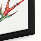 Modern Wall Art - Colorful Hummingbird | Contemporary Nature Print