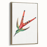 Modern Wall Art - Colorful Hummingbird | Contemporary Nature Print