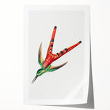 Modern Wall Art - Colorful Hummingbird | Contemporary Nature Print