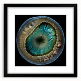 Abstract strokes wall art framed in black with a white mat, showcasing vibrant colors and dynamic designs, perfect for modern home decor.