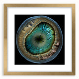 Abstract strokes wall art framed in gold, featuring vibrant colors and dynamic patterns, adds a modern touch to any decor, perfect for contemporary spaces.