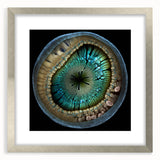 Abstract strokes wall art framed in silver with a mat, showcasing vibrant colors and dynamic shapes for a contemporary decor style. Ideal for modern interiors.