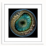 Abstract strokes wall art in a white frame with a mat, showcasing vibrant colors and dynamic patterns, ideal for modern home decor. Perfect for enhancing any living space.