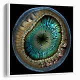 Framed canvas wall art showcasing abstract strokes in soft pastel colors, elegantly displayed in a white frame, ideal for modern home decor.