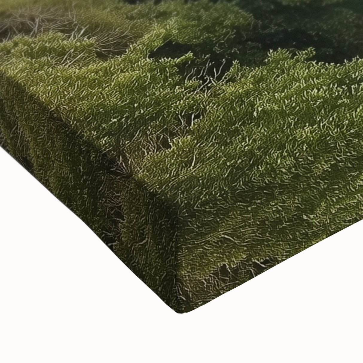 Close-up of a vibrant stretched canvas artwork depicting a serene landscape with a majestic castle, showcasing intricate details and rich colors, ideal for home decor.