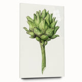Classic Romantic Artichoke Print - Famous Romantic Era Wall Art