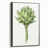 Classic Romantic Artichoke Print - Famous Romantic Era Wall Art
