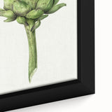 Classic Romantic Artichoke Print - Famous Romantic Era Wall Art