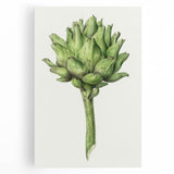 Classic Romantic Artichoke Print - Famous Romantic Era Wall Art