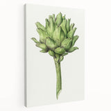 Classic Romantic Artichoke Print - Famous Romantic Era Wall Art