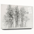 Black & White Forest Sketch – Minimalist Living Room Wall Art