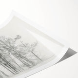 Black & White Forest Sketch – Minimalist Living Room Wall Art