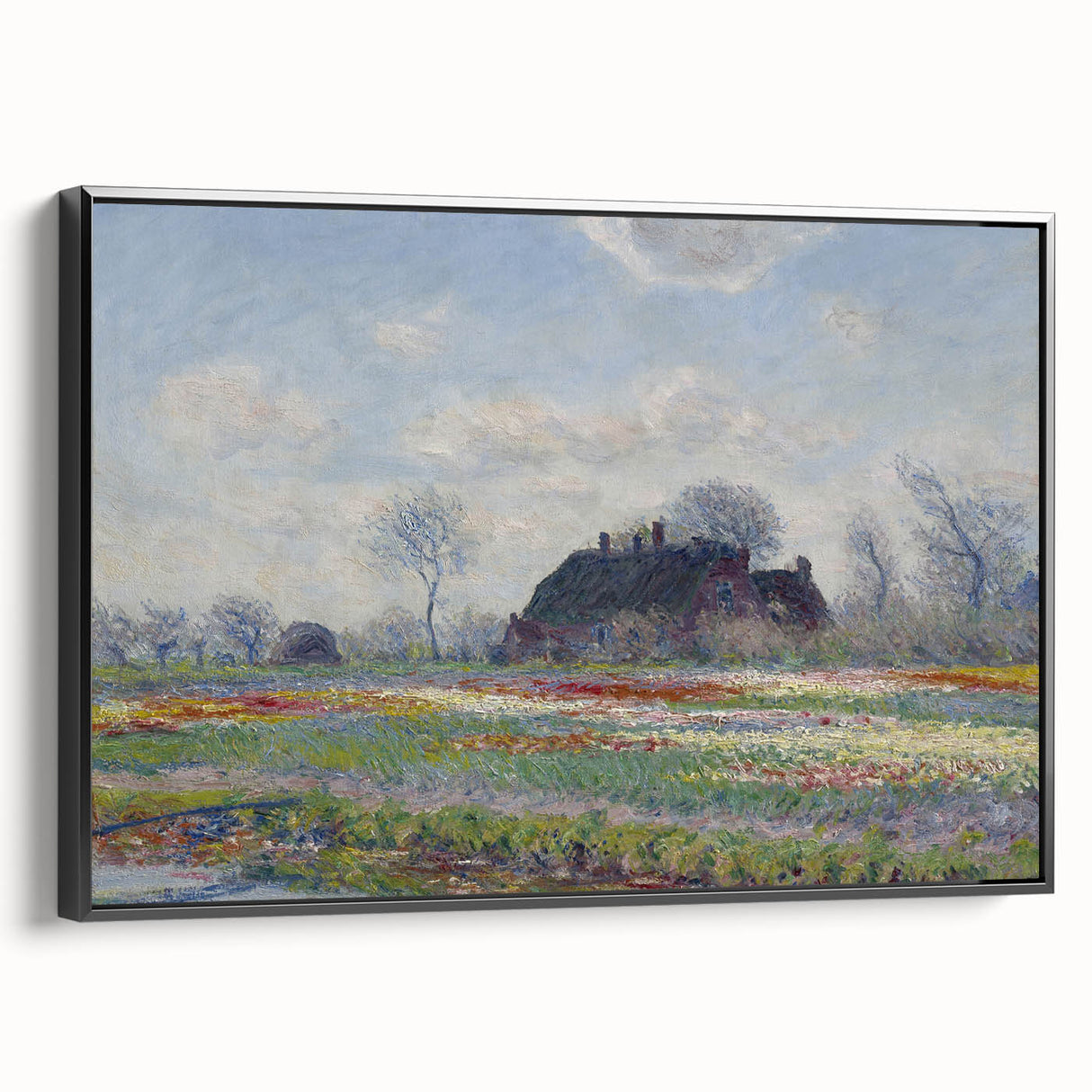 Claude Monet's Tulip Fields at Sassenheim - Impressionist Landscape Art