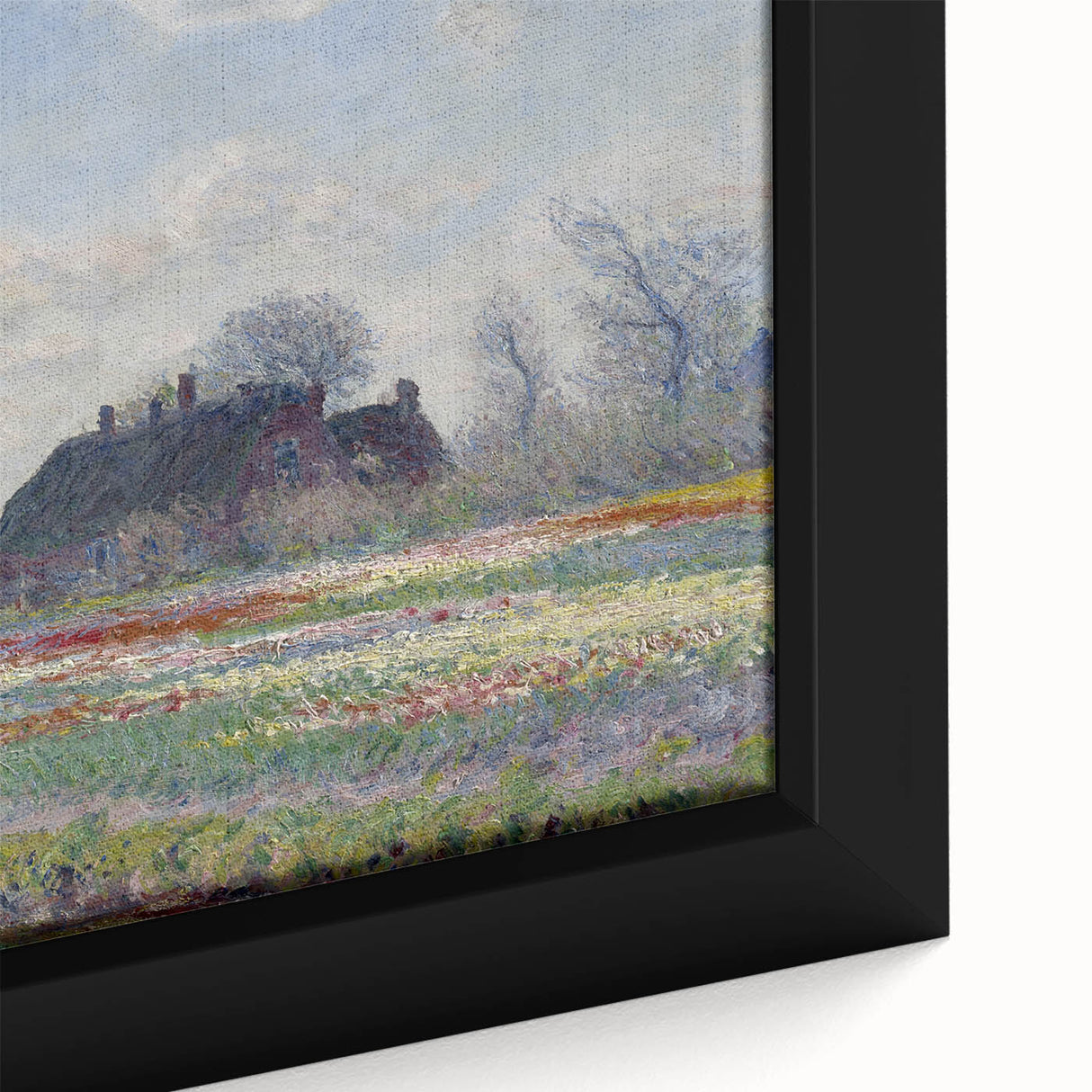 Claude Monet's Tulip Fields at Sassenheim - Impressionist Landscape Art