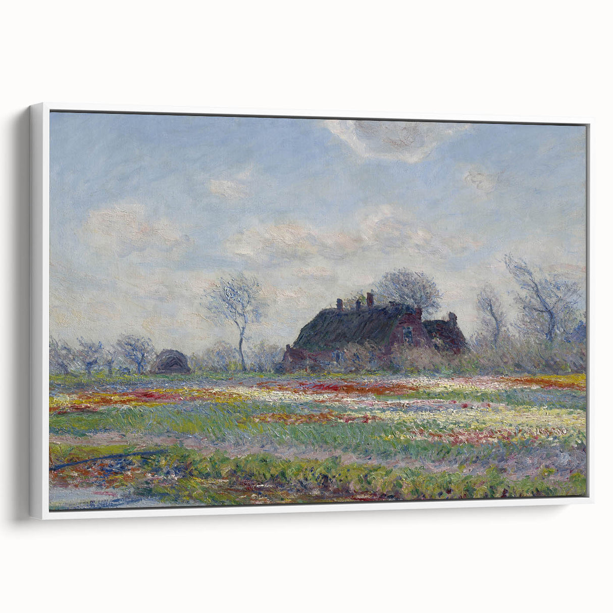 Claude Monet's Tulip Fields at Sassenheim - Impressionist Landscape Art