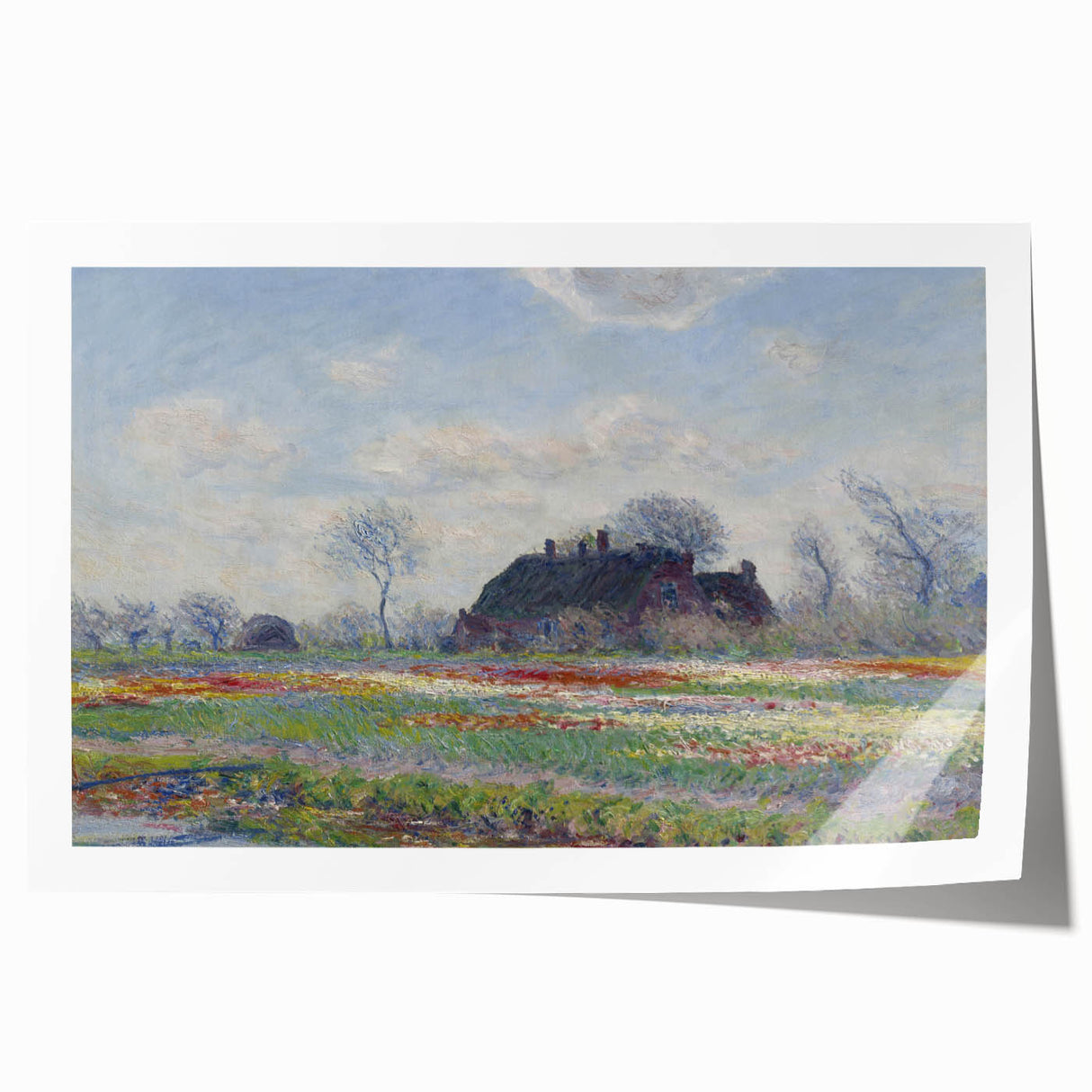 Claude Monet's Tulip Fields at Sassenheim - Impressionist Landscape Art