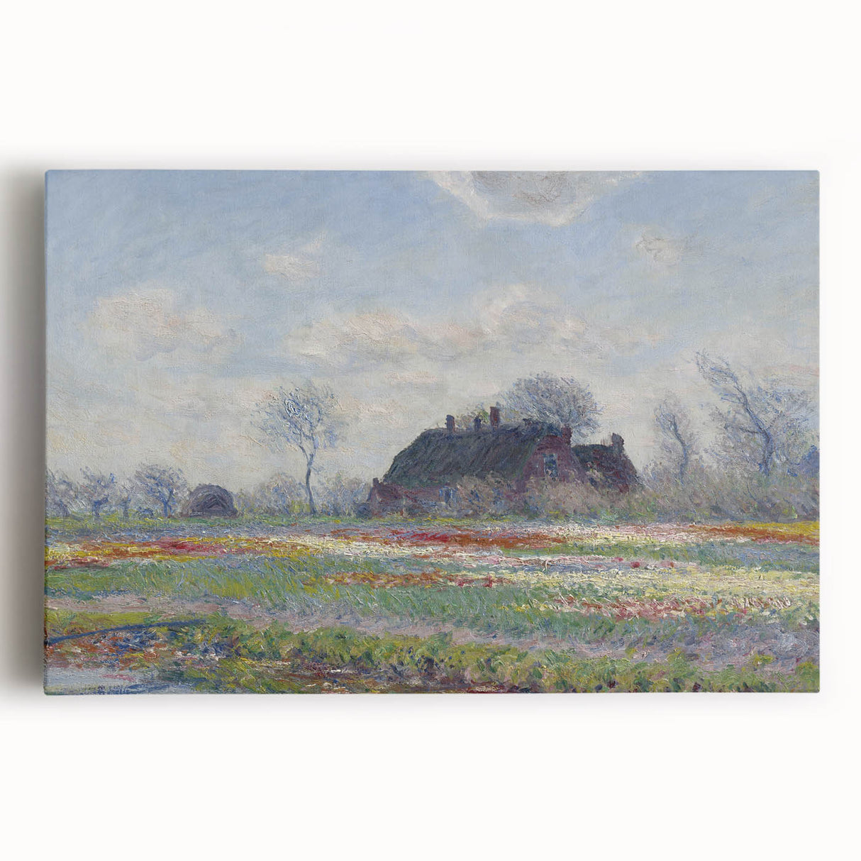 Claude Monet's Tulip Fields at Sassenheim - Impressionist Landscape Art