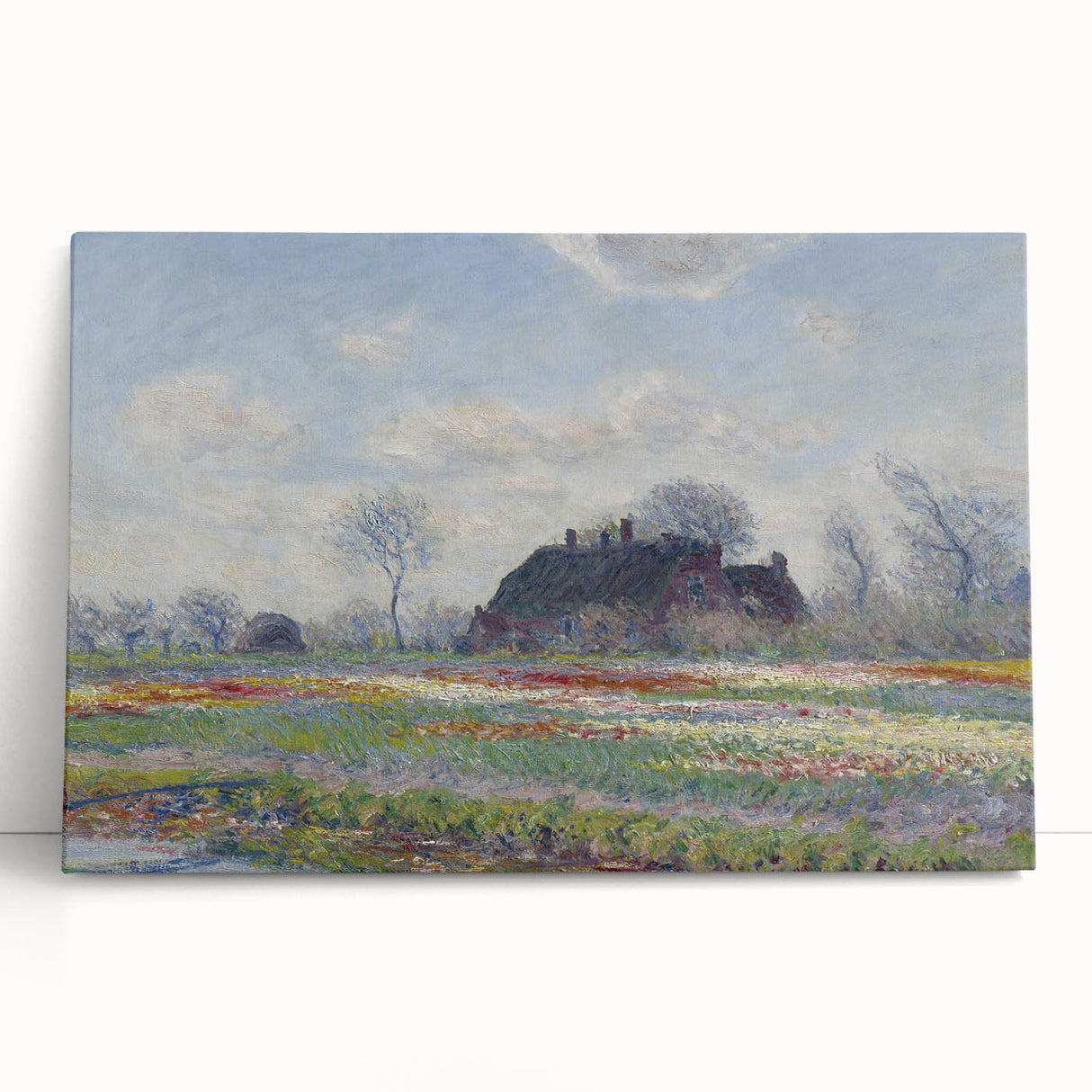 Claude Monet's Tulip Fields at Sassenheim - Impressionist Landscape Art