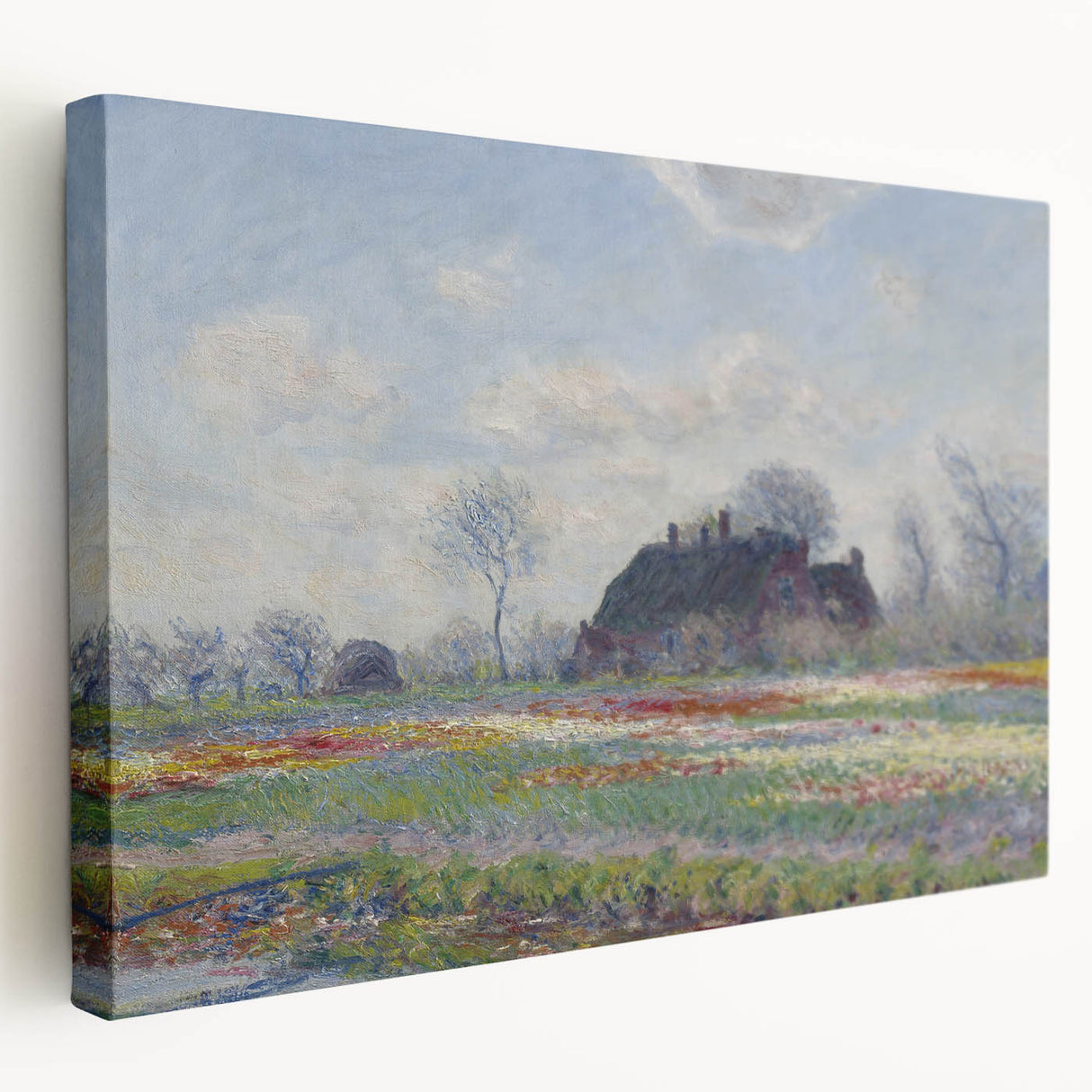 Claude Monet's Tulip Fields at Sassenheim - Impressionist Landscape Art